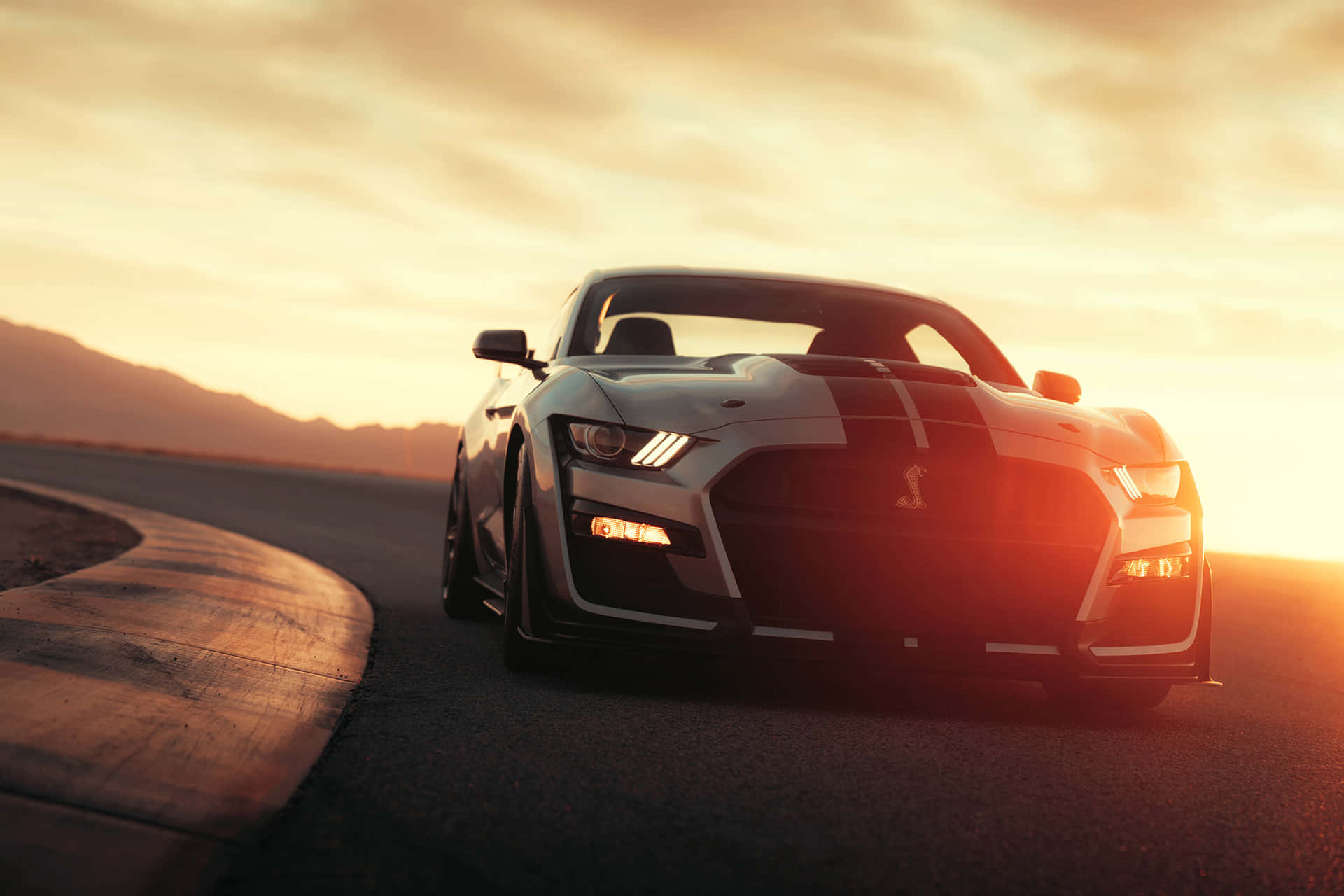 Ford Mustang Shelby G T500 Sunset Drive Background