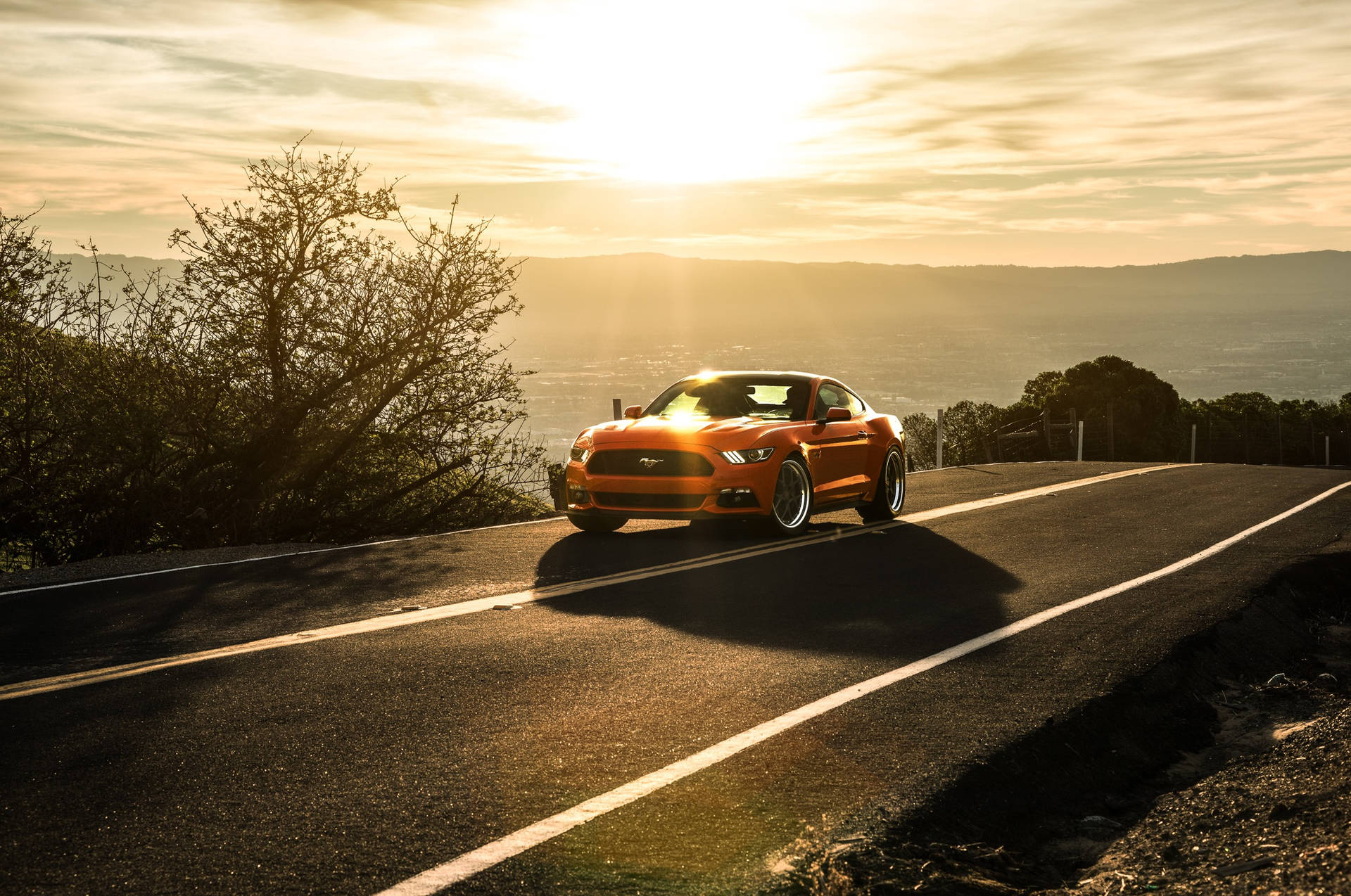 Ford Mustang Sunset Background