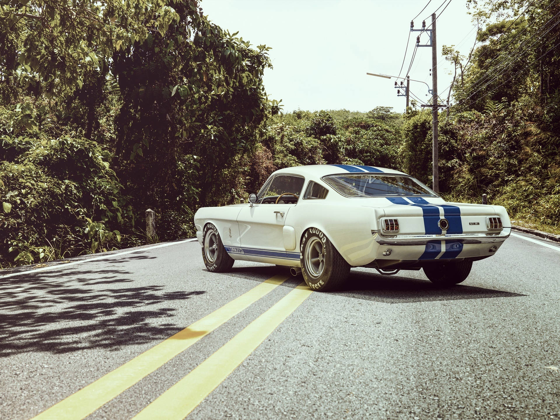 Ford Shelby Gt350 1965 Background