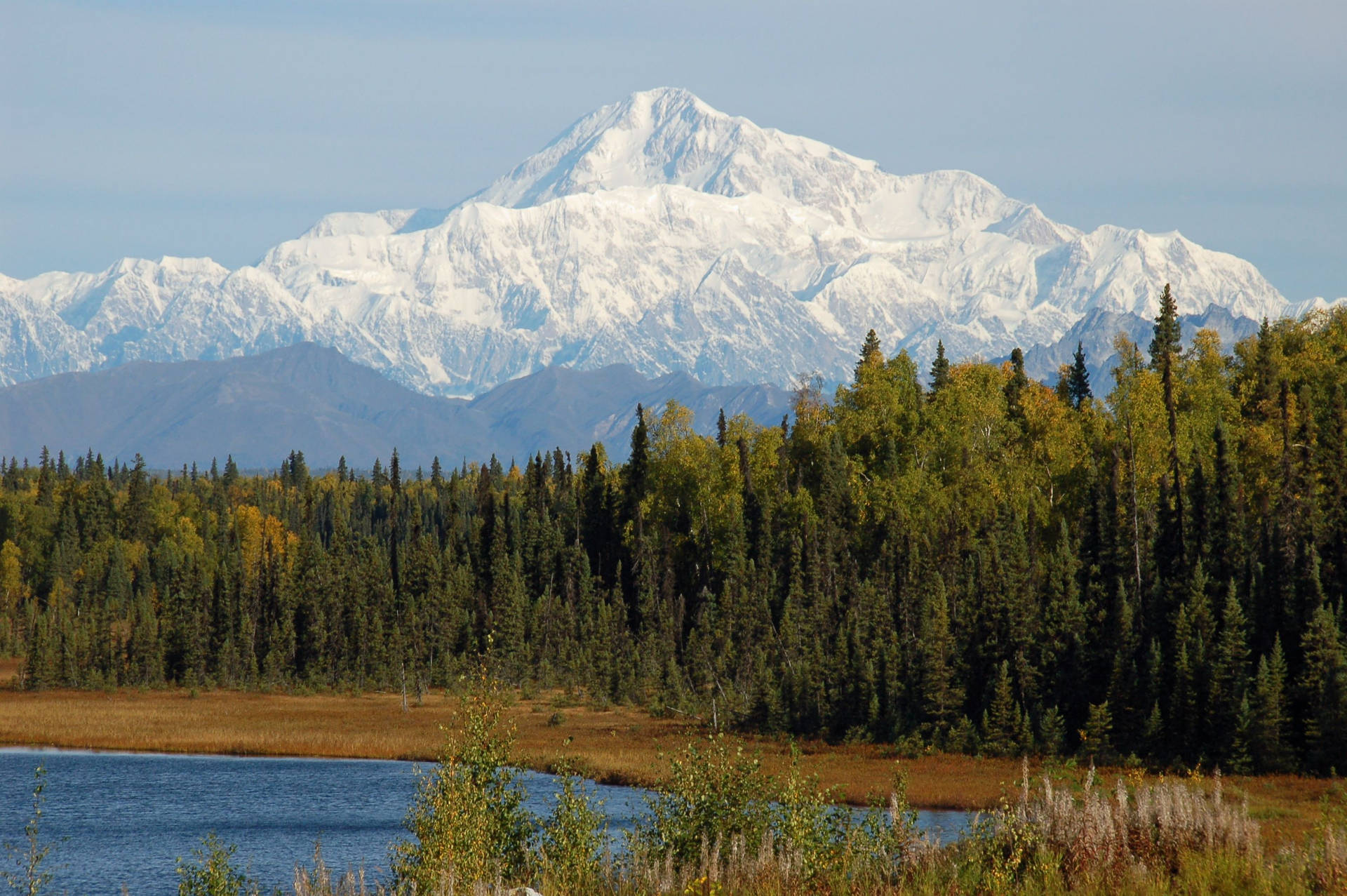 Forest And Lake Denali Mountains Background