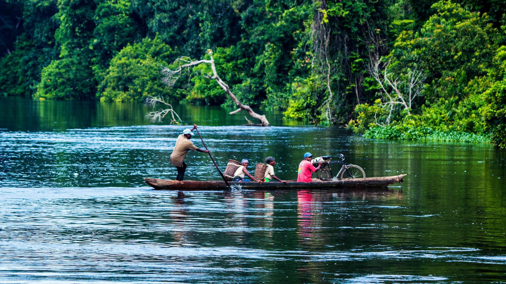 Forest And River In Congo Background