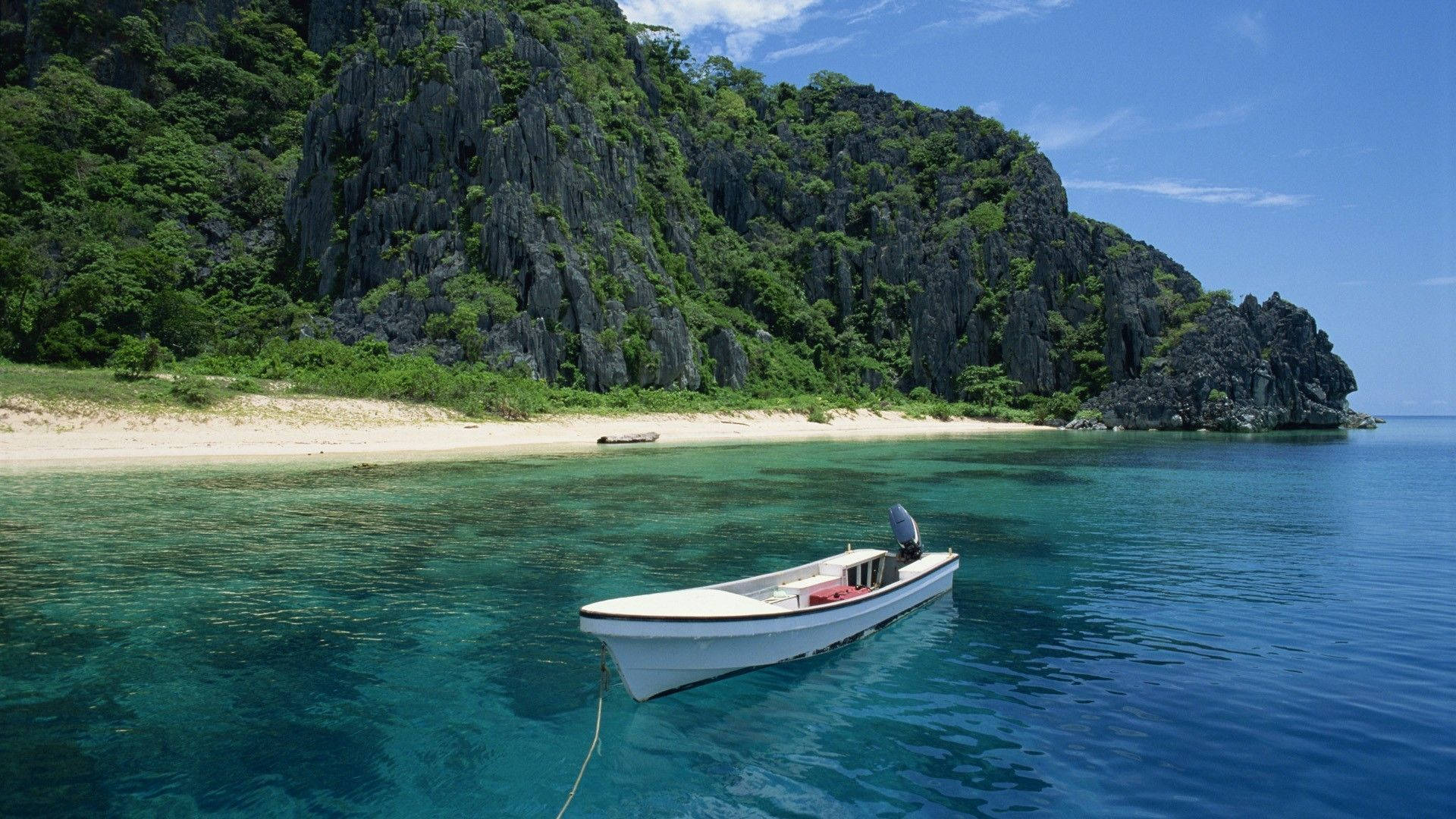 Forest Beach In Palawan Philippines