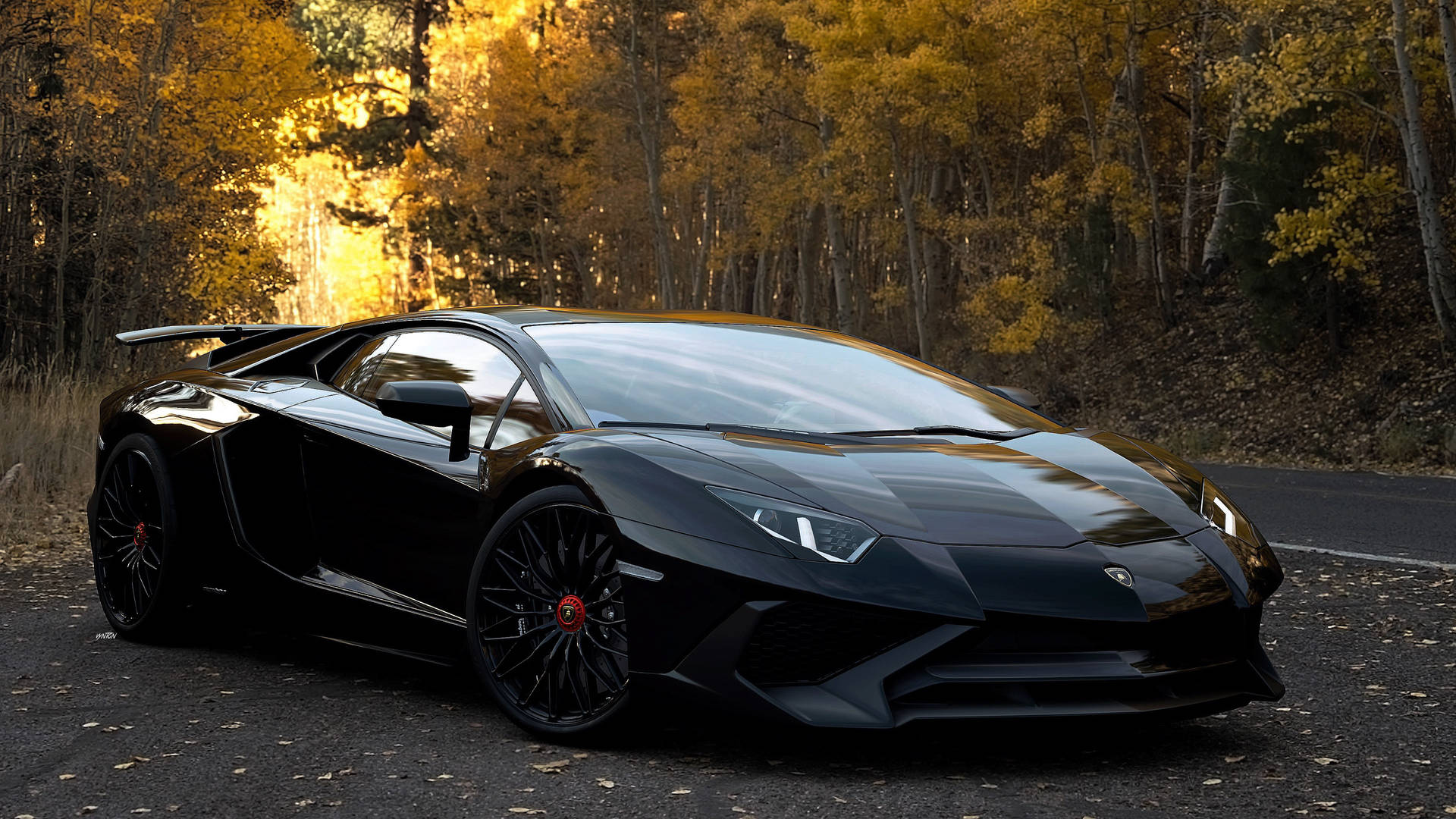 Forest Black Lamborghini Background