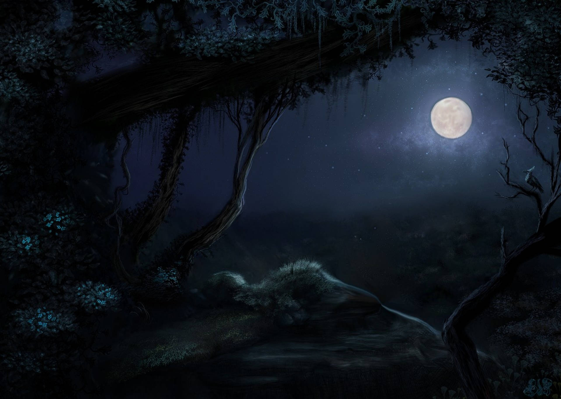 Forest Clearing Moon Night Sky Background