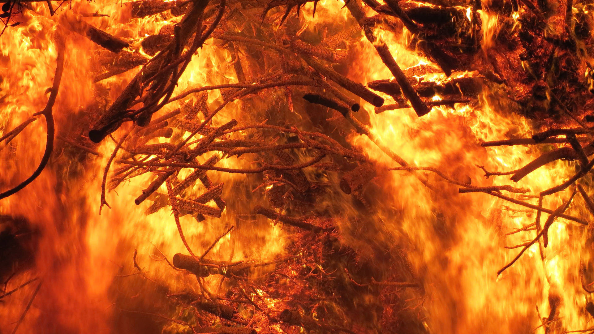 Forest Fire Background Background