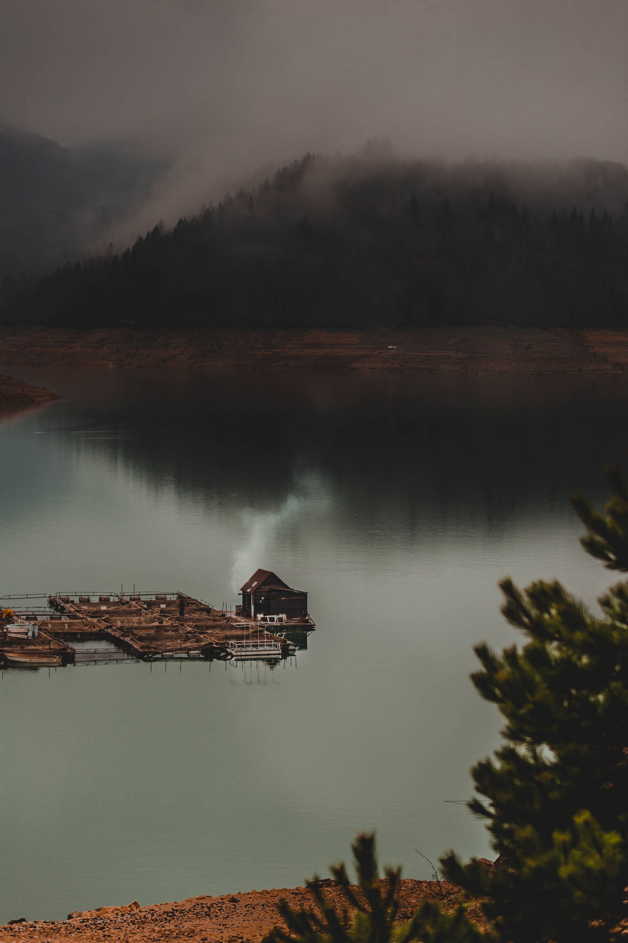 Forest Lake House Background