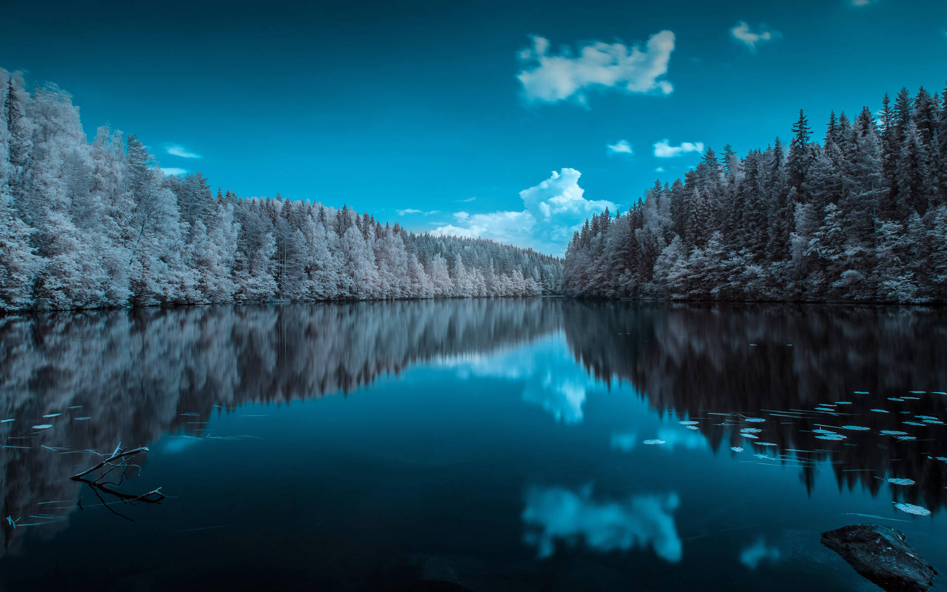 Forest Lake In Finland Background