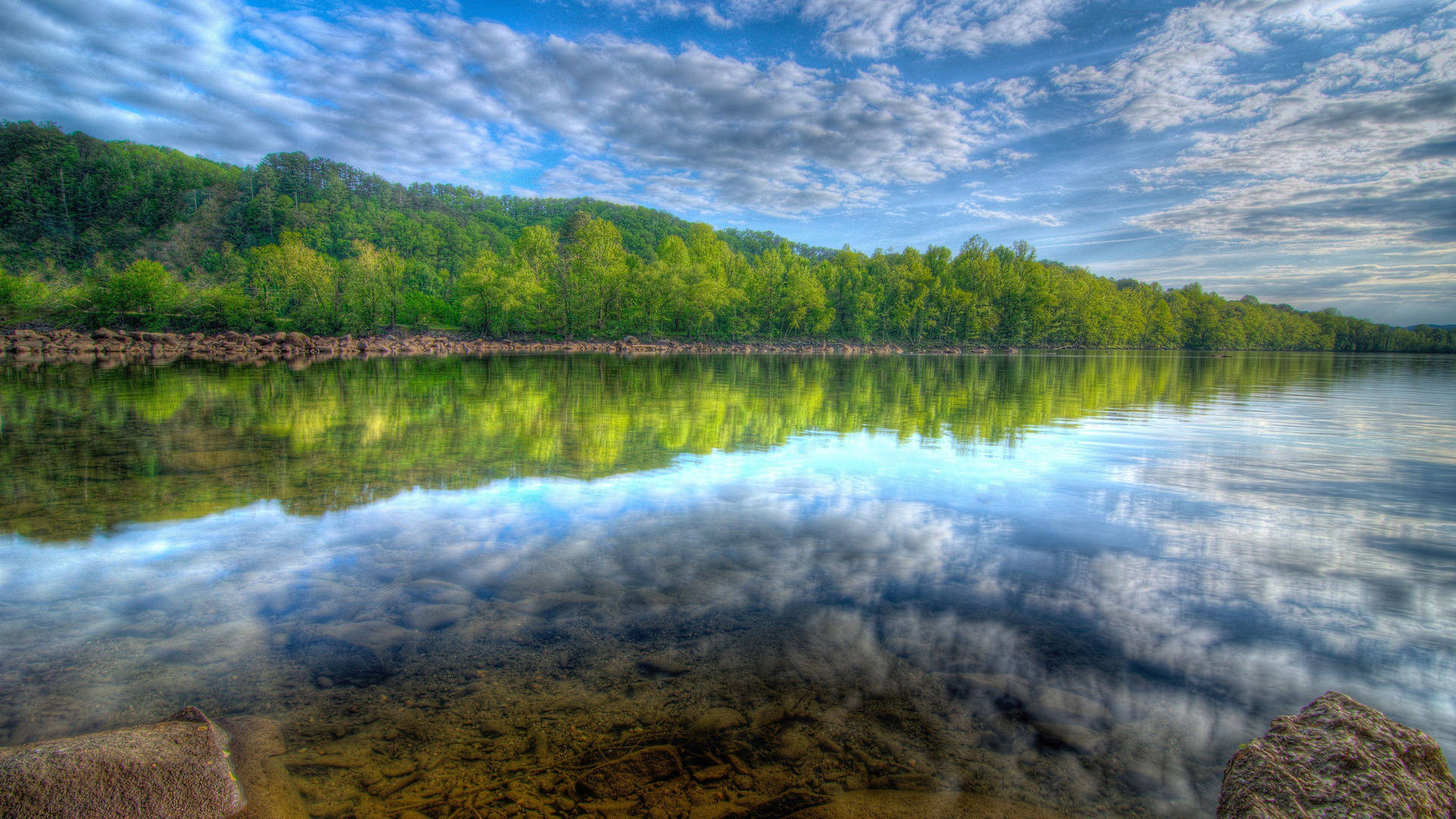 Forest Lake Needwood Background