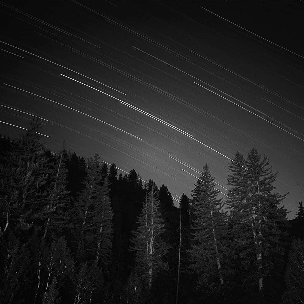 Forest Meteor Shower Dark Ipad Background