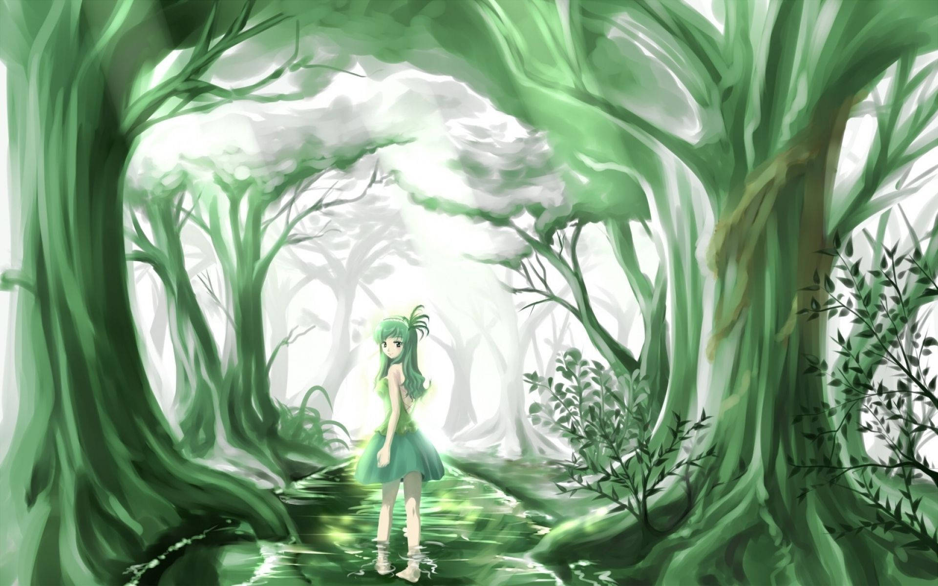 Forest Of Trees Green Anime Aesthetic Background