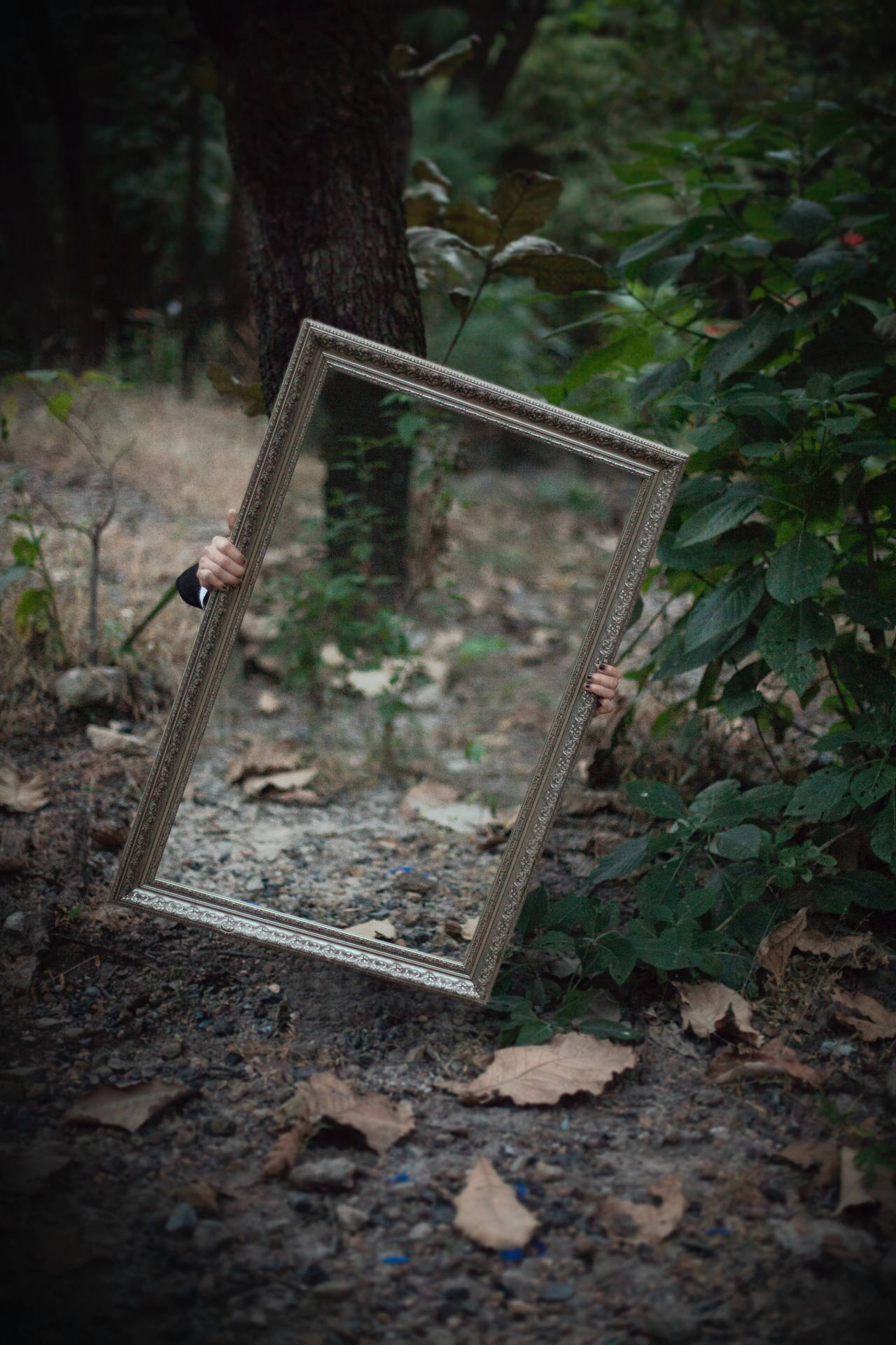 Forest Rectangular Wooden Frame Mirror Background