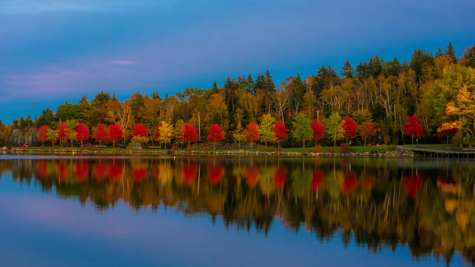 Forest Reflection Teams Background