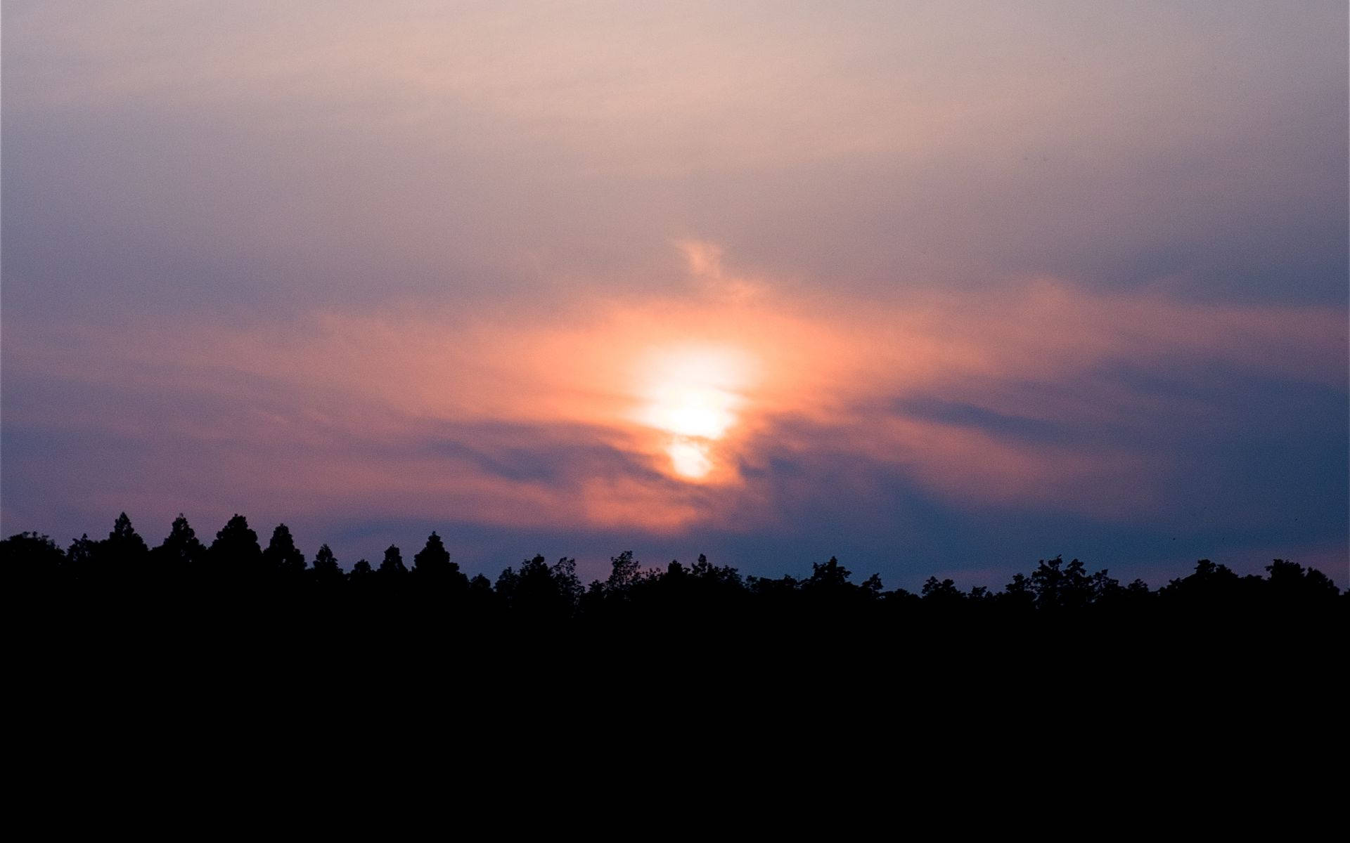 Forest Silhouette Sunset Desktop