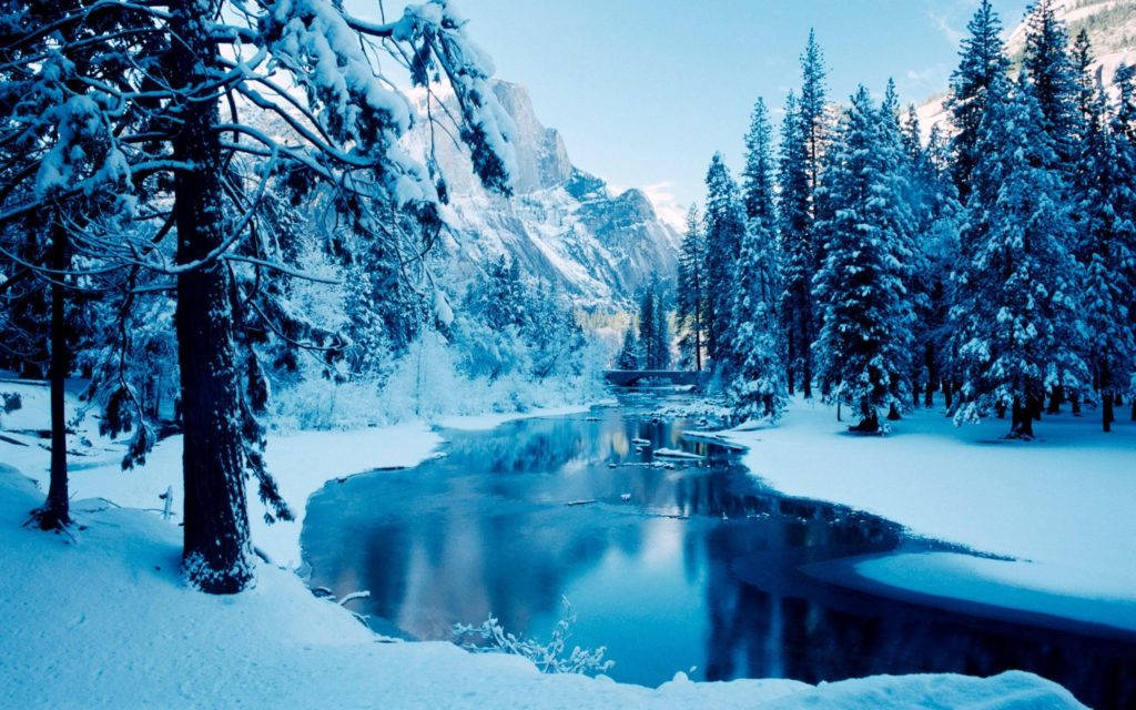 Forest Stream Winter Desktop