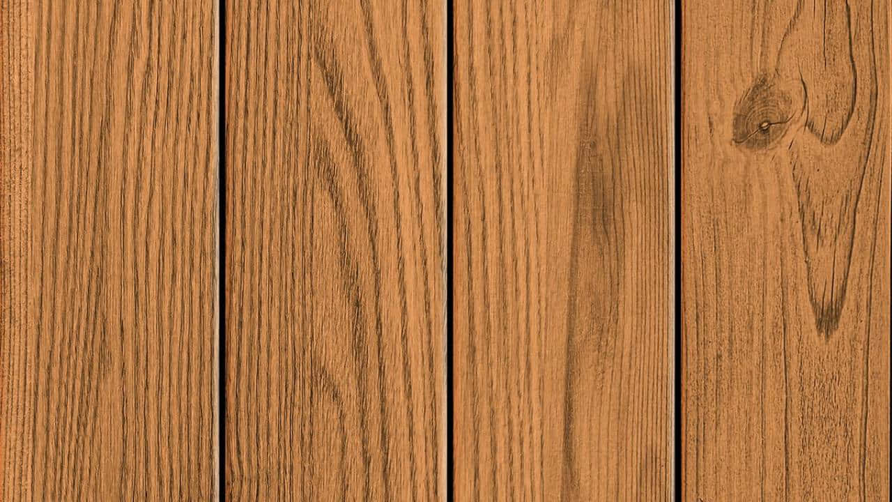 Forest Sunset Landscape Background