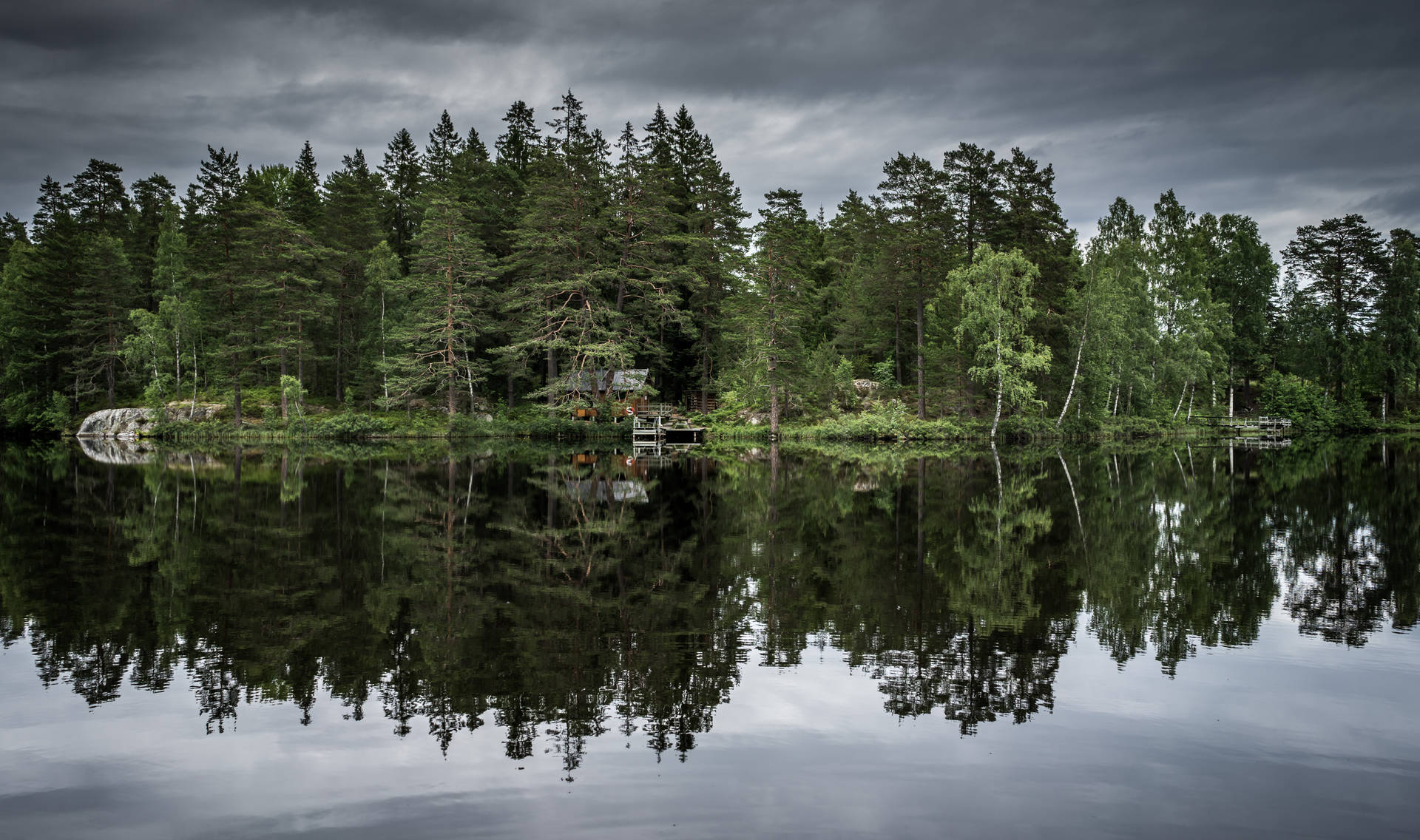 Forest Tree Lake Reflection Background
