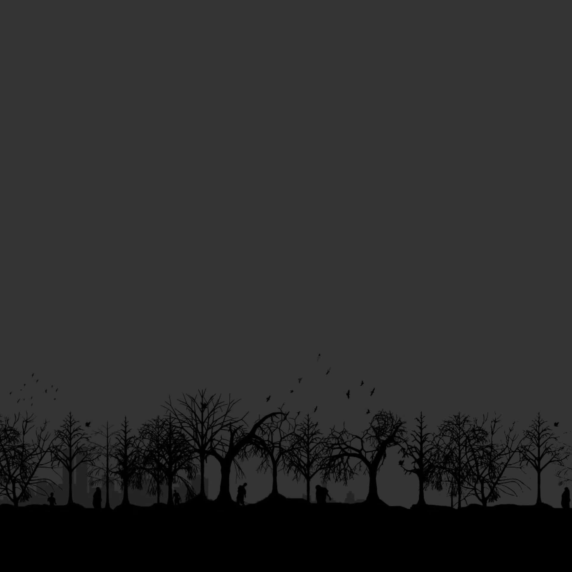 Forest Trees Silhouettes Dark Ipad Background