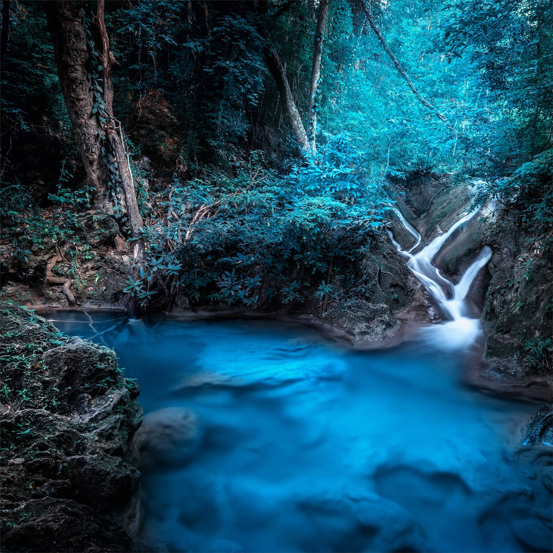 Forest Waterfall Fantasy Background