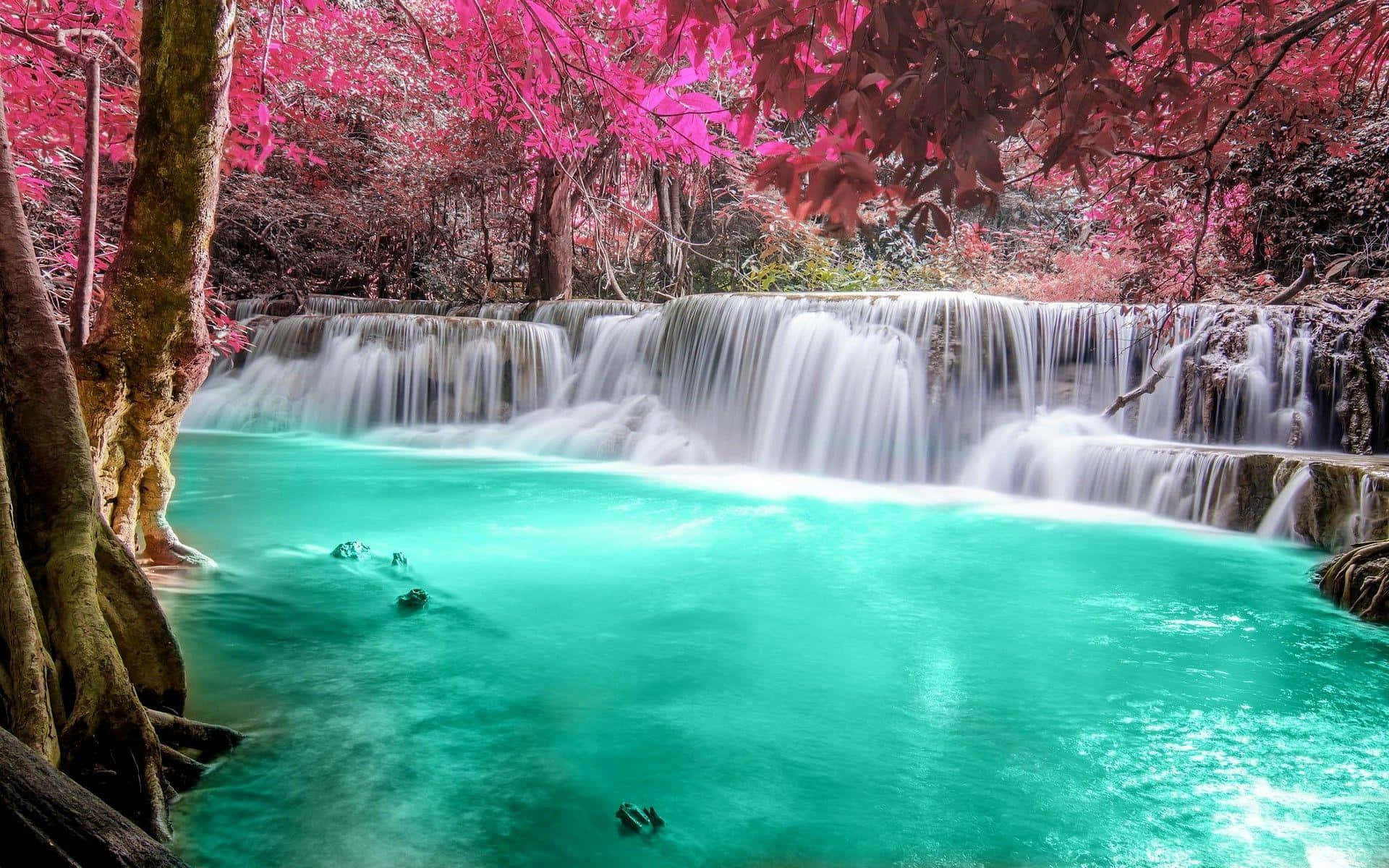 Forest Waterfall With Pink Trees Background