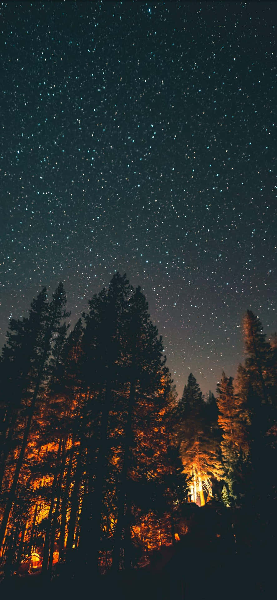 Forest With Starry Night Sky Nature Aesthetic Phone