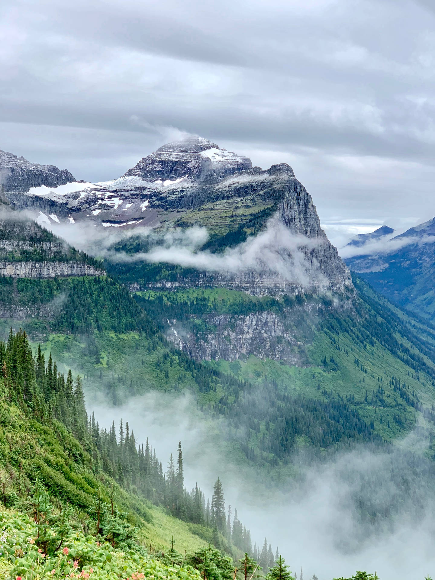 Forested Mountains In Montana Iphone Background