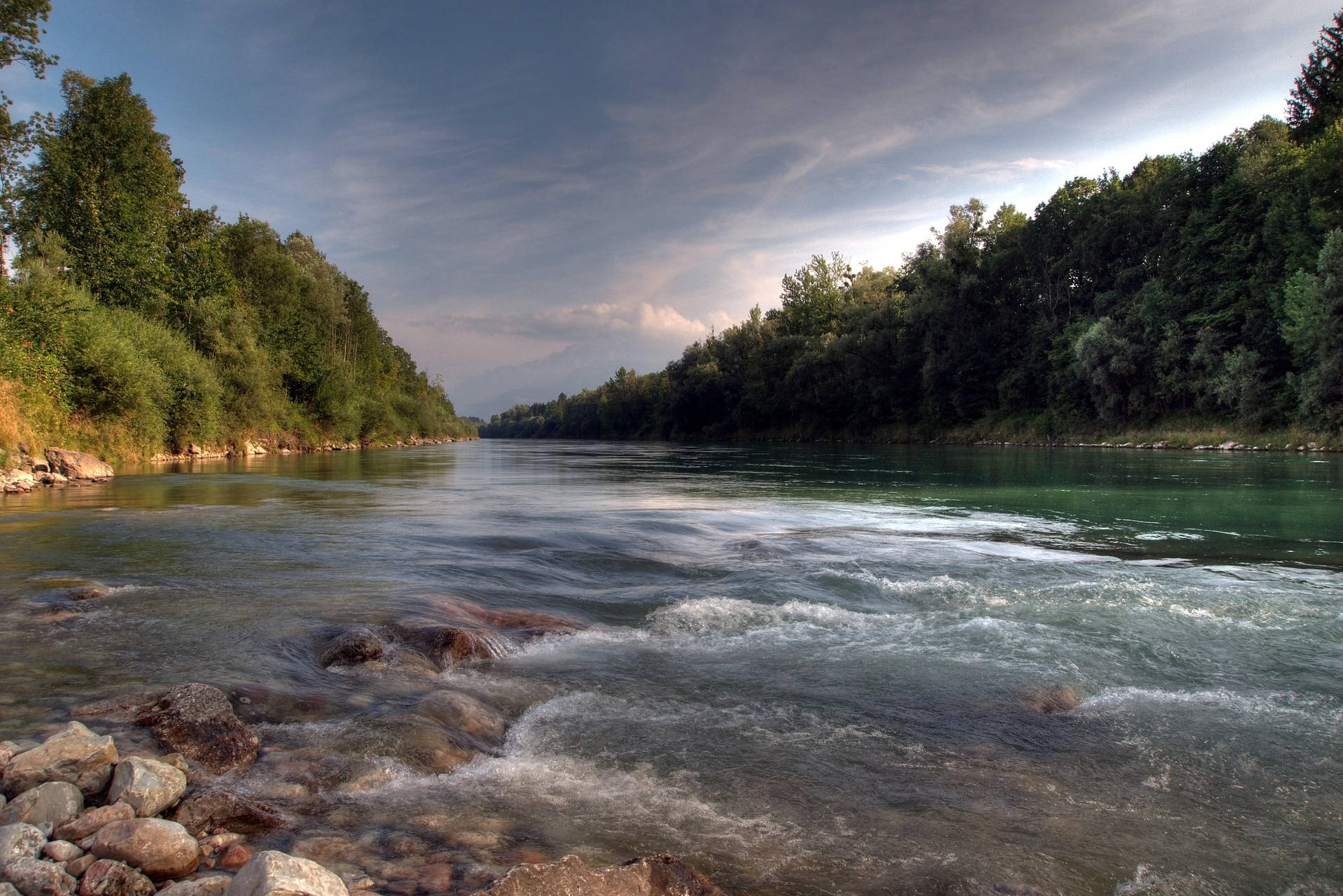 Forested Riverside In The Daytime Background