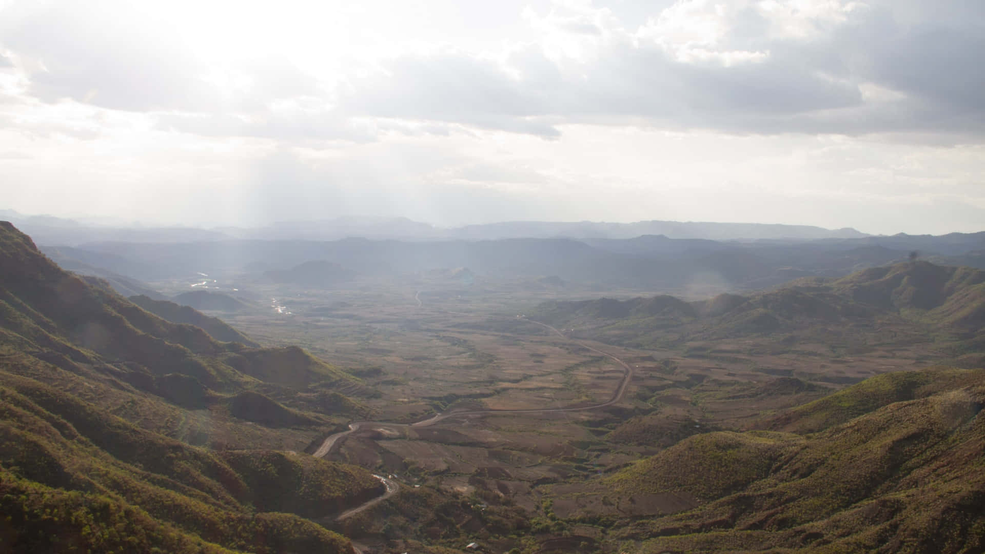 Forests In Lalibela's Coffee Regions Background