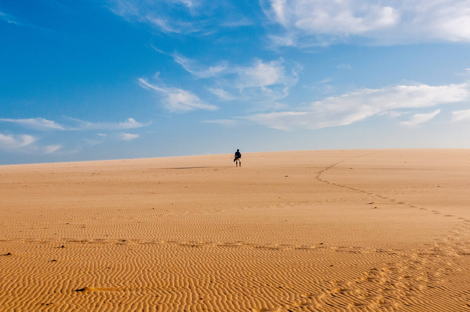 Forever Alone Person On A Desert Background