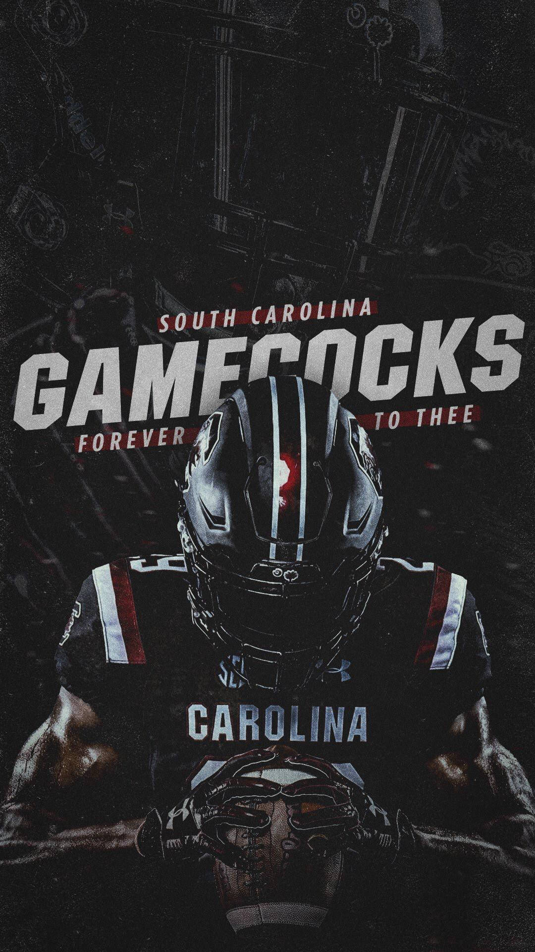 Forever To Thee South Carolina Gamecocks Background