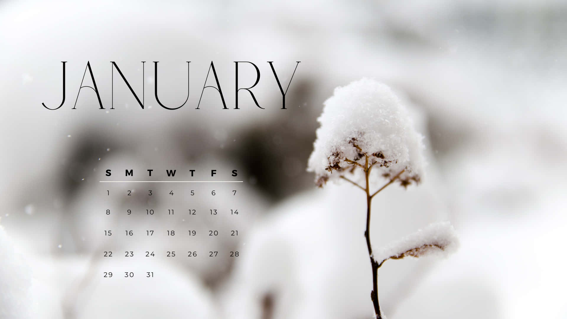 Forget What Has Passed And Welcome The New Beginnings In January. Background
