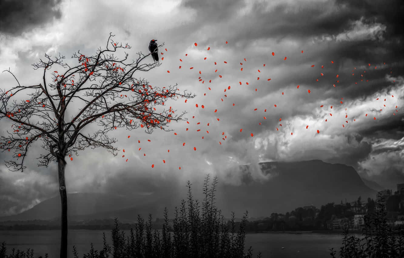 Forgotten Tree By The Lake Background