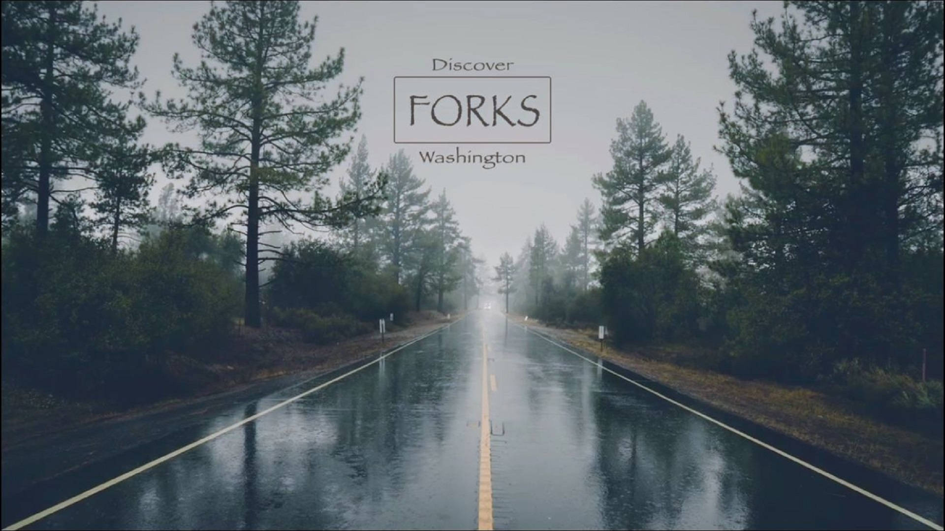 Forks Washington Road Banner