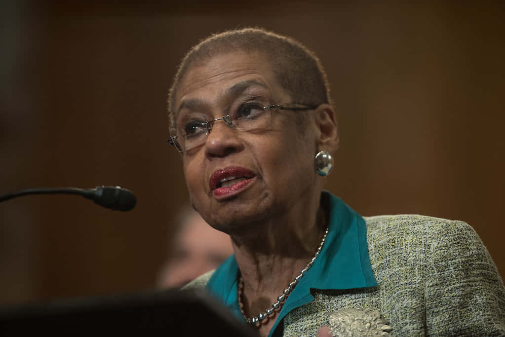 Formal Attire Of Eleanor Holmes Norton Background