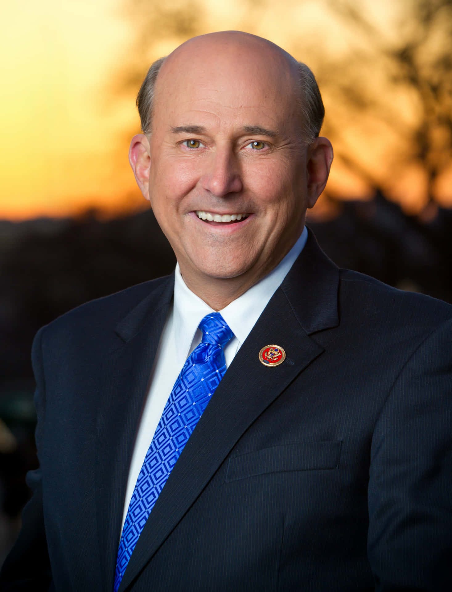 Formal Photo Of Louie Gohmert