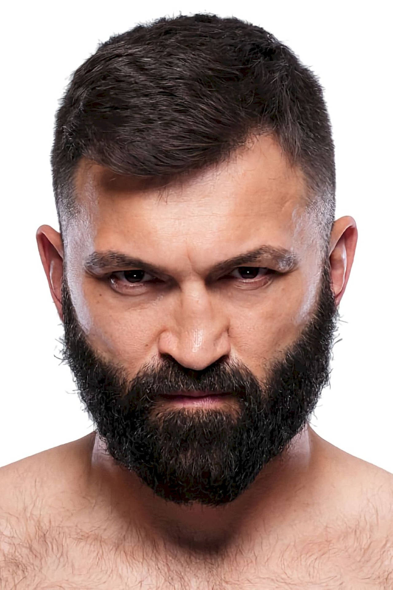 Former Ufc Heavyweight Champion Andrei Arlovski Background