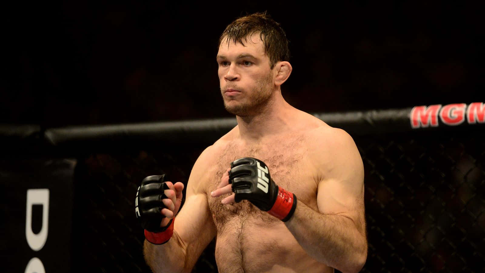 Forrest Griffin Ufc Light Heavyweight Champion Background