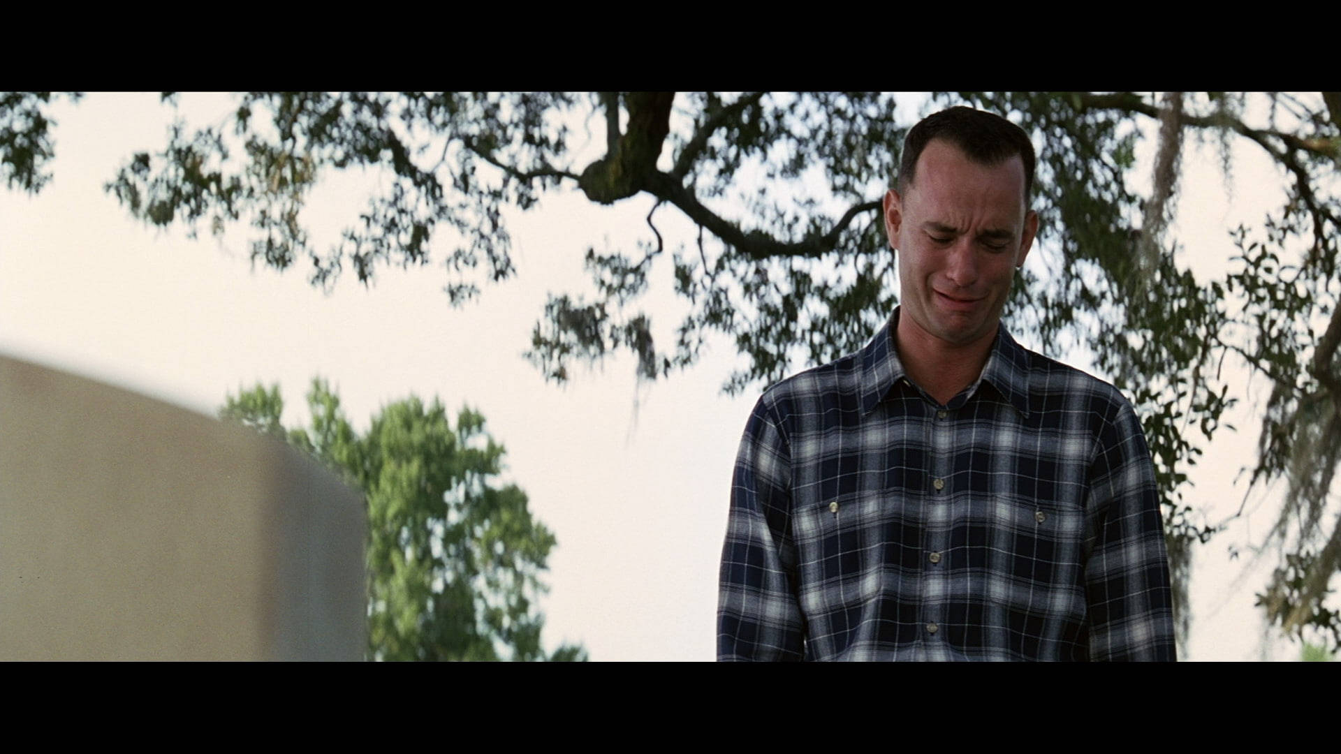 Forrest Gump Emotional And Crying Background