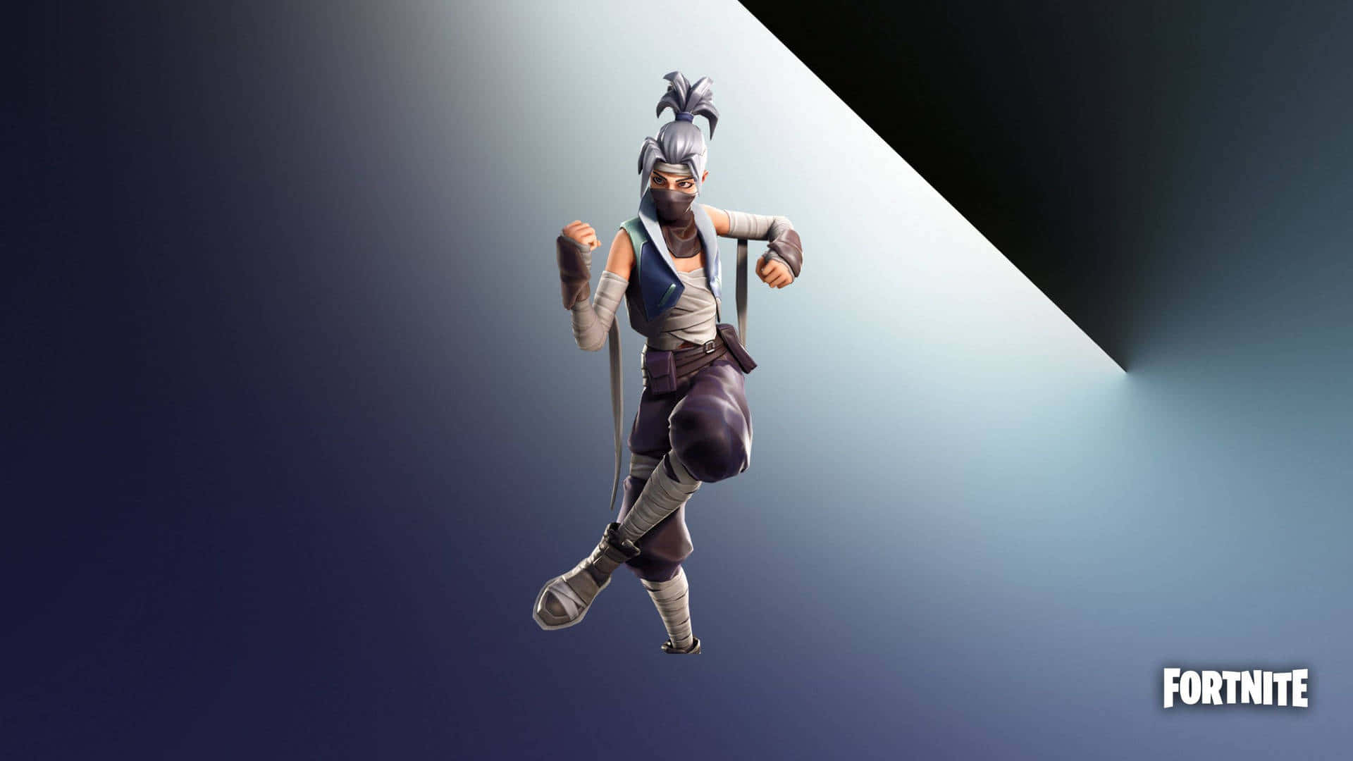 Fortnite - Ninja - Adobe Acrobat