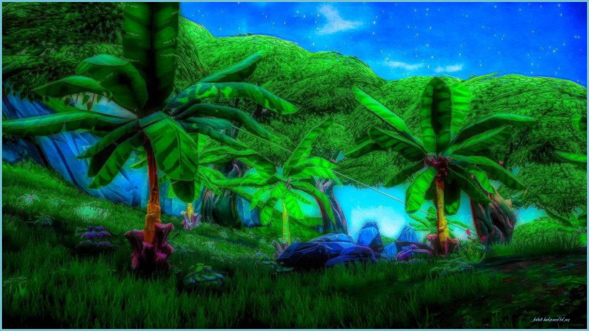 Fortnite Thumbnails Forest Background