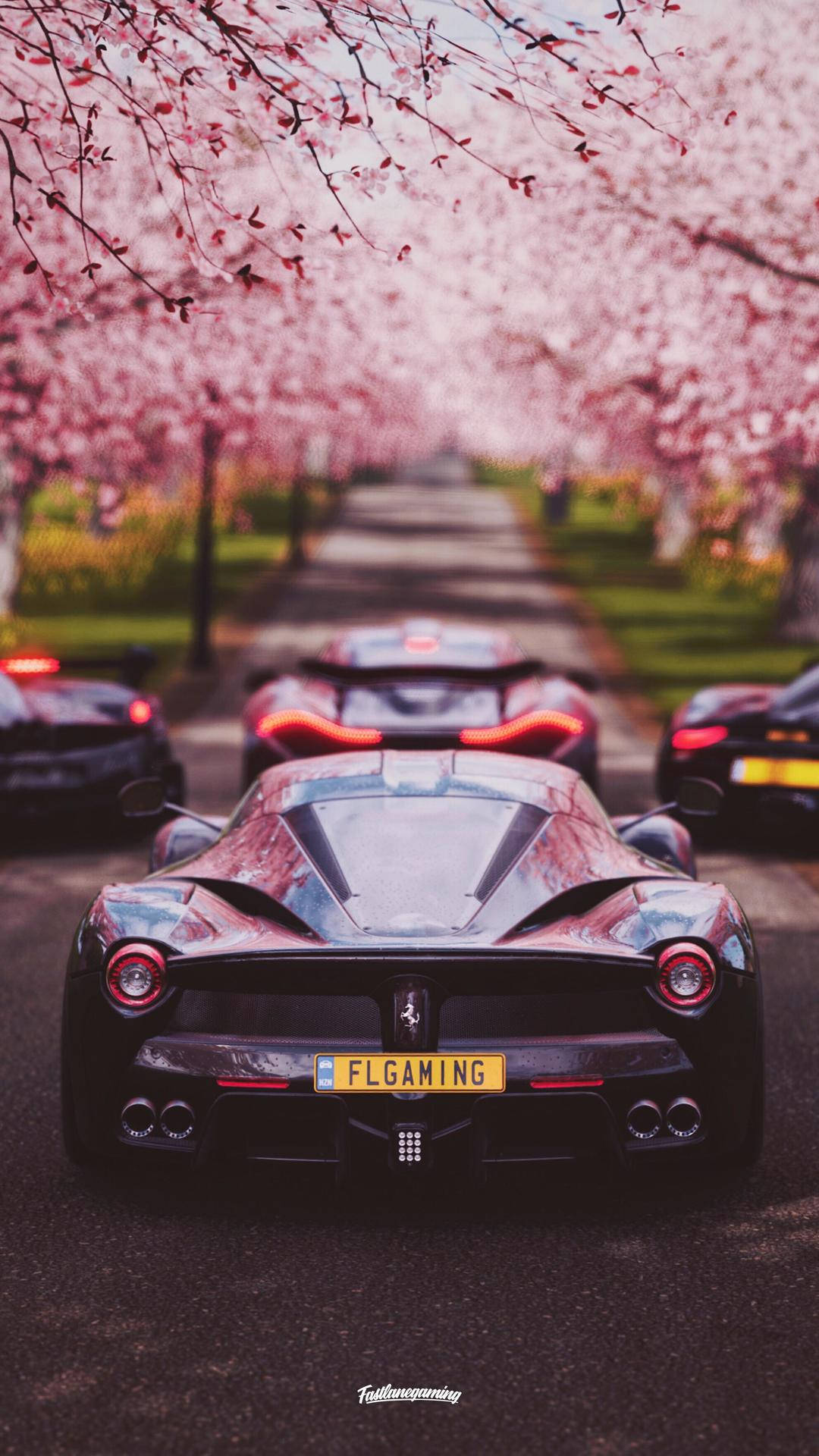 Forza Cherry Blossoms Iphone Background