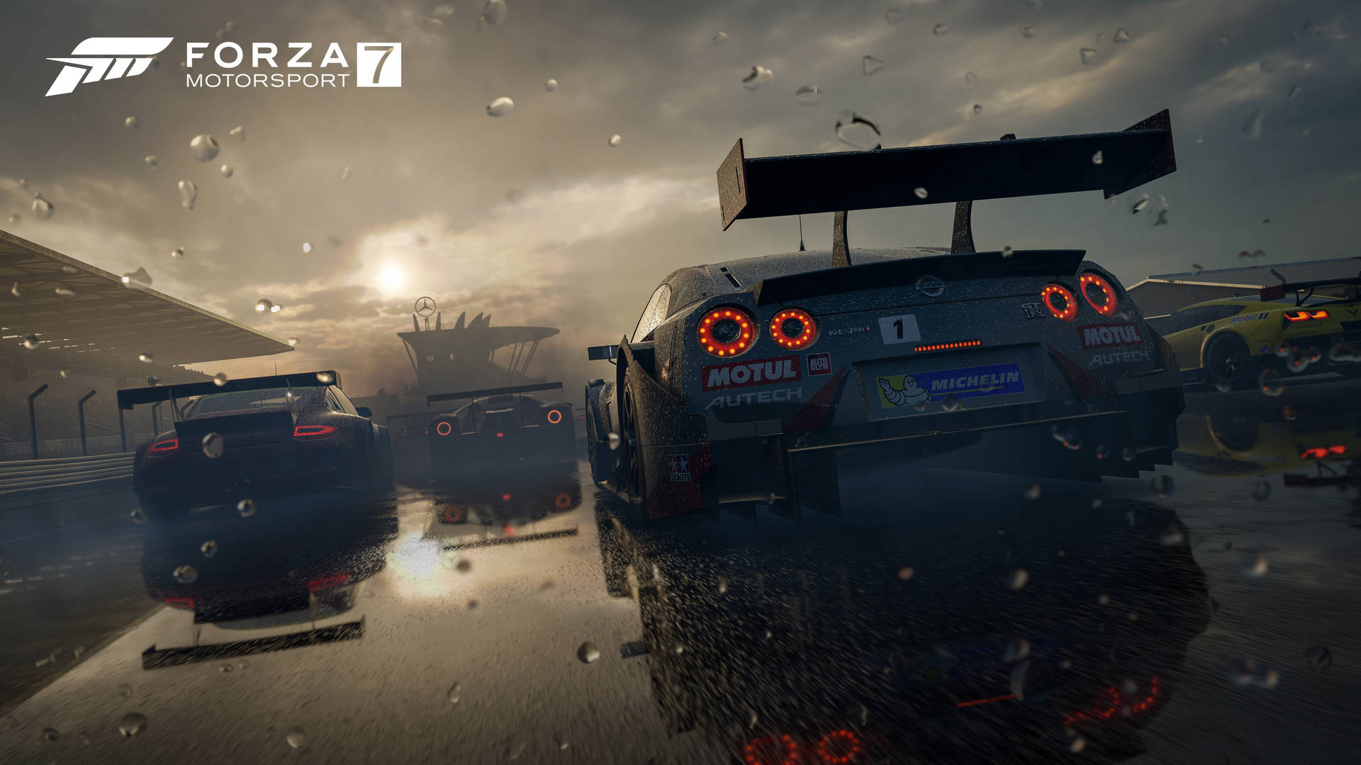 Forza Motorsport 7 Racing Cars Rear Background