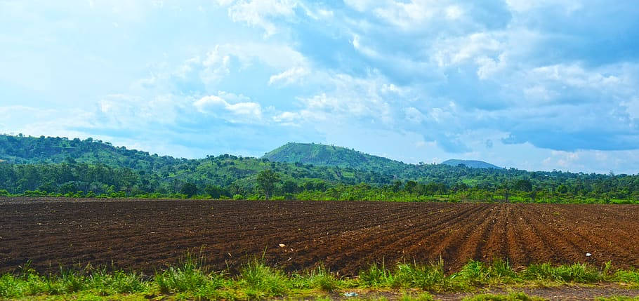 Foumbot Cameroon Vast Field And Mountain. Background