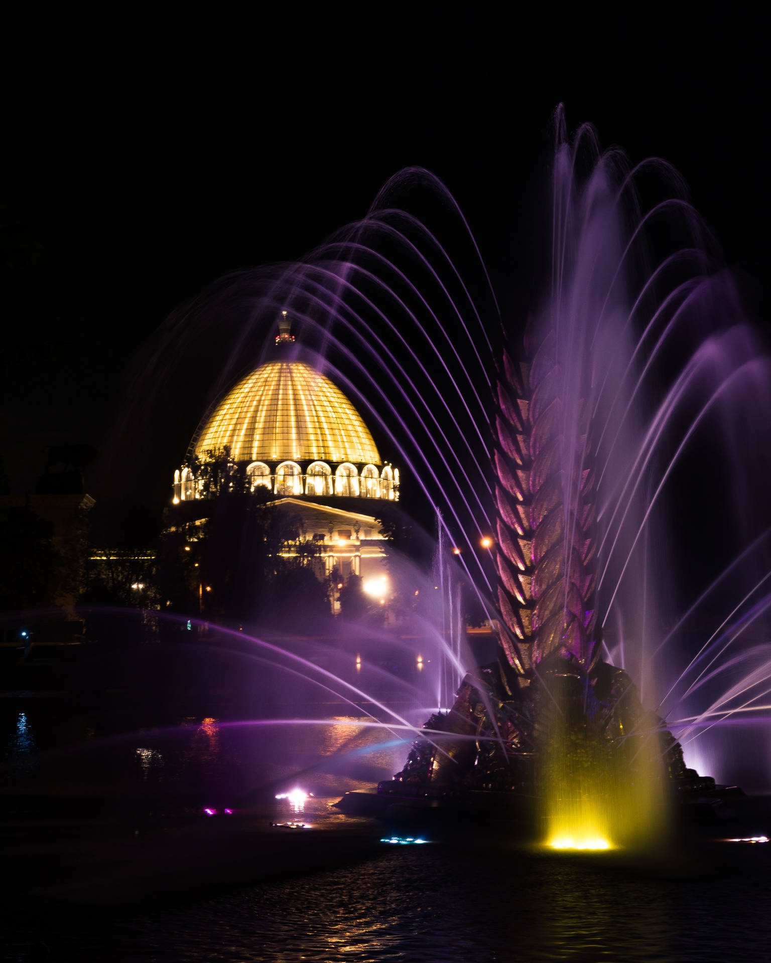 Fountain Night City