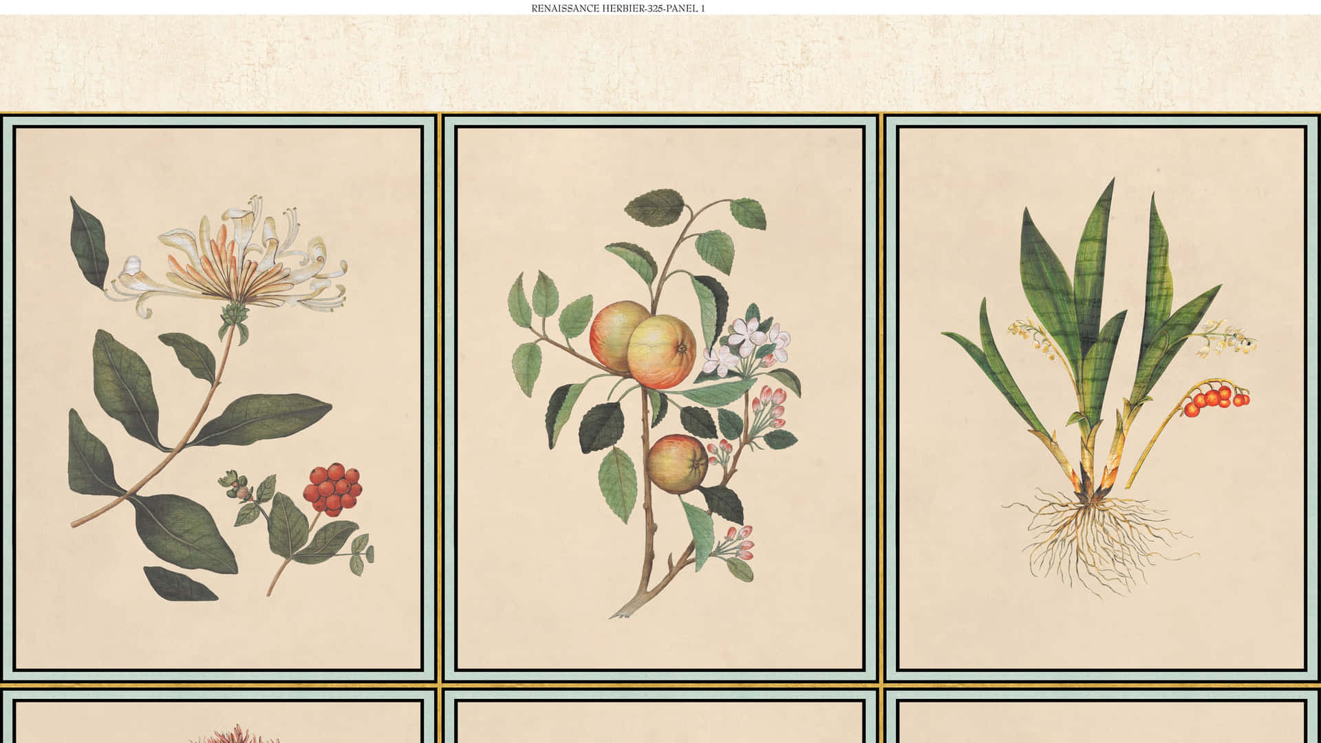 Four Botanical Prints With Different Plants And Flowers