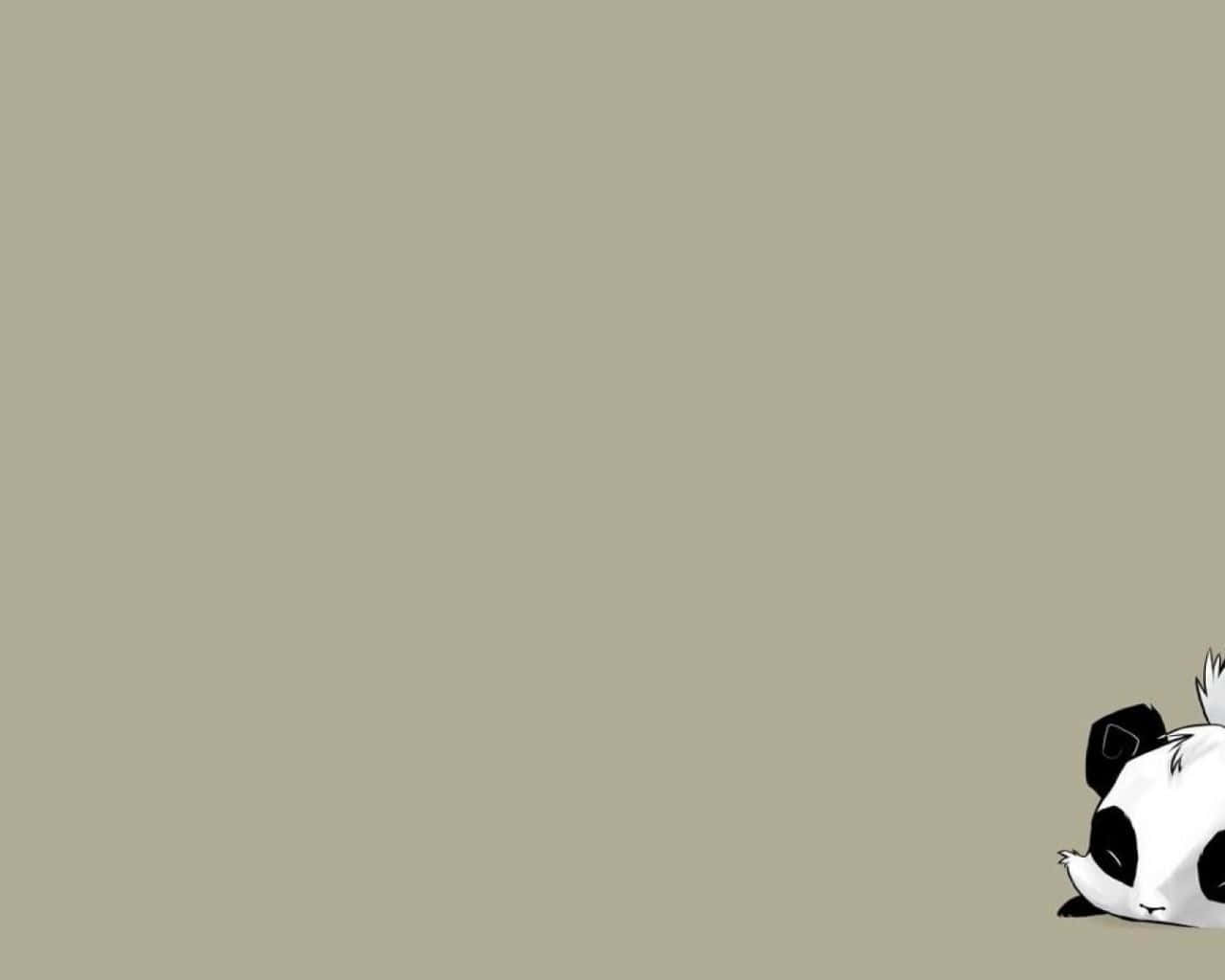 Four Cute Animals Enjoying A Summer Day