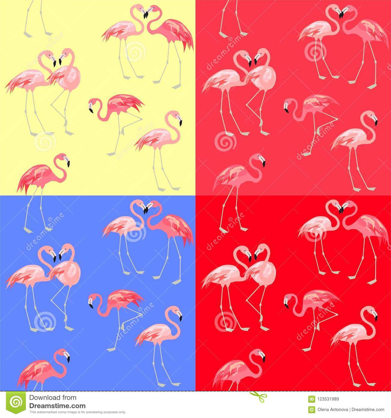 Four Flamingos In Different Colors