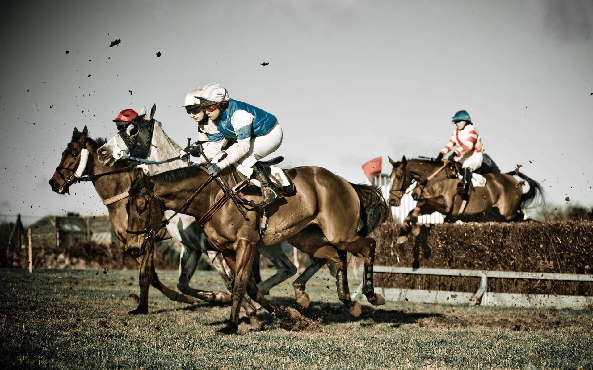 Four Horse Rider In Horse Racing Background