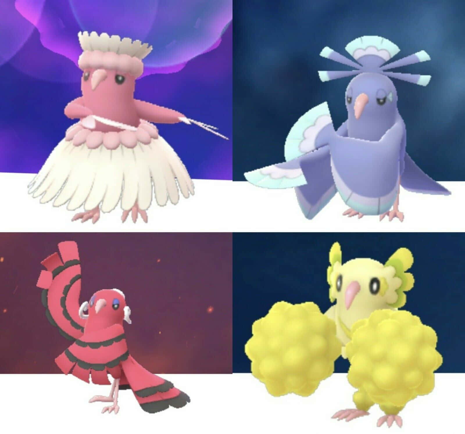 Four Oricorio Forms Together Background