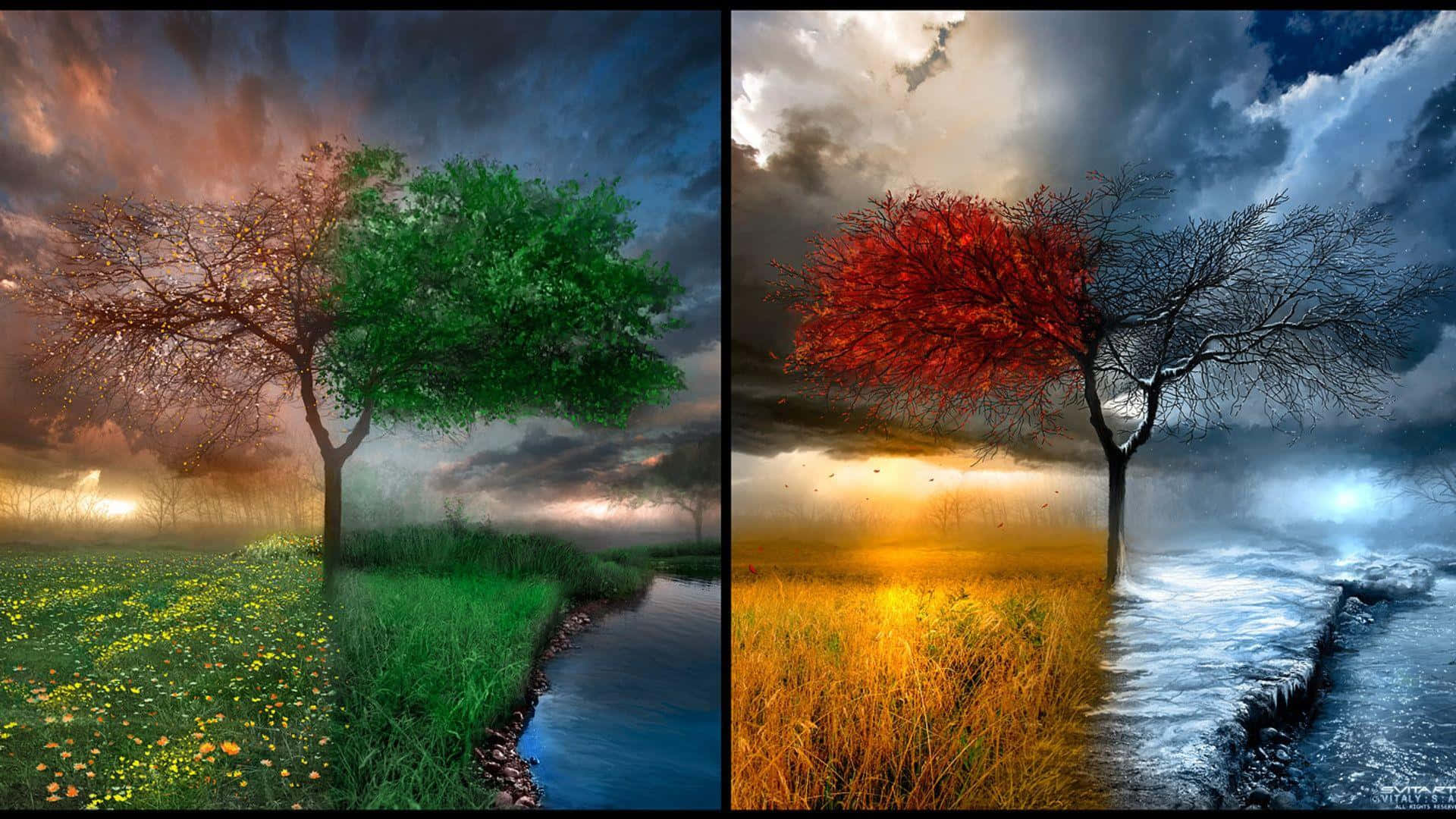 Four Season Nature Scenery Comparison Background