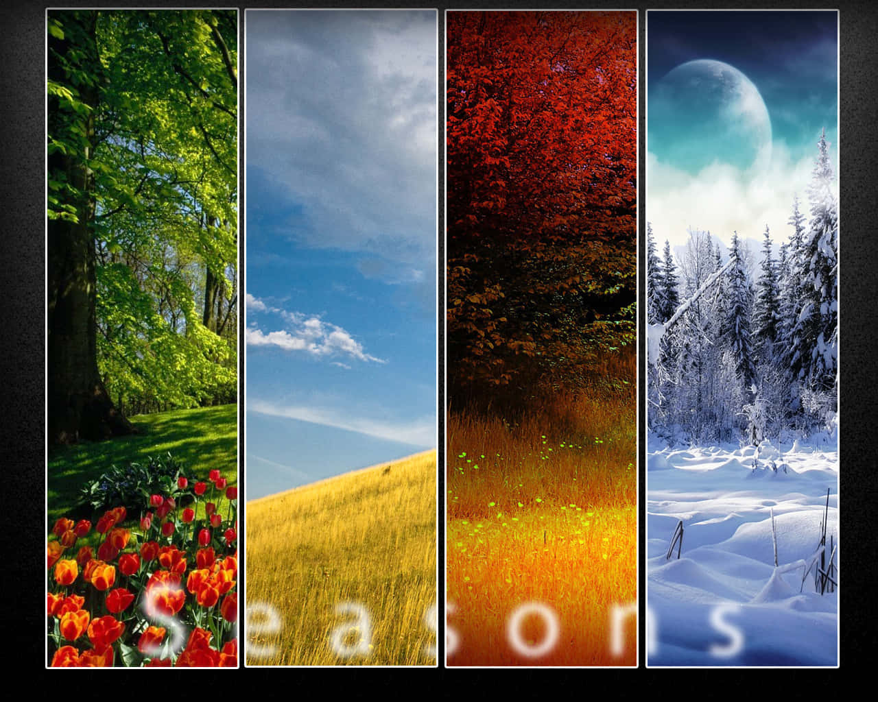 Four Seasons Collage Beautiful Scenery Background